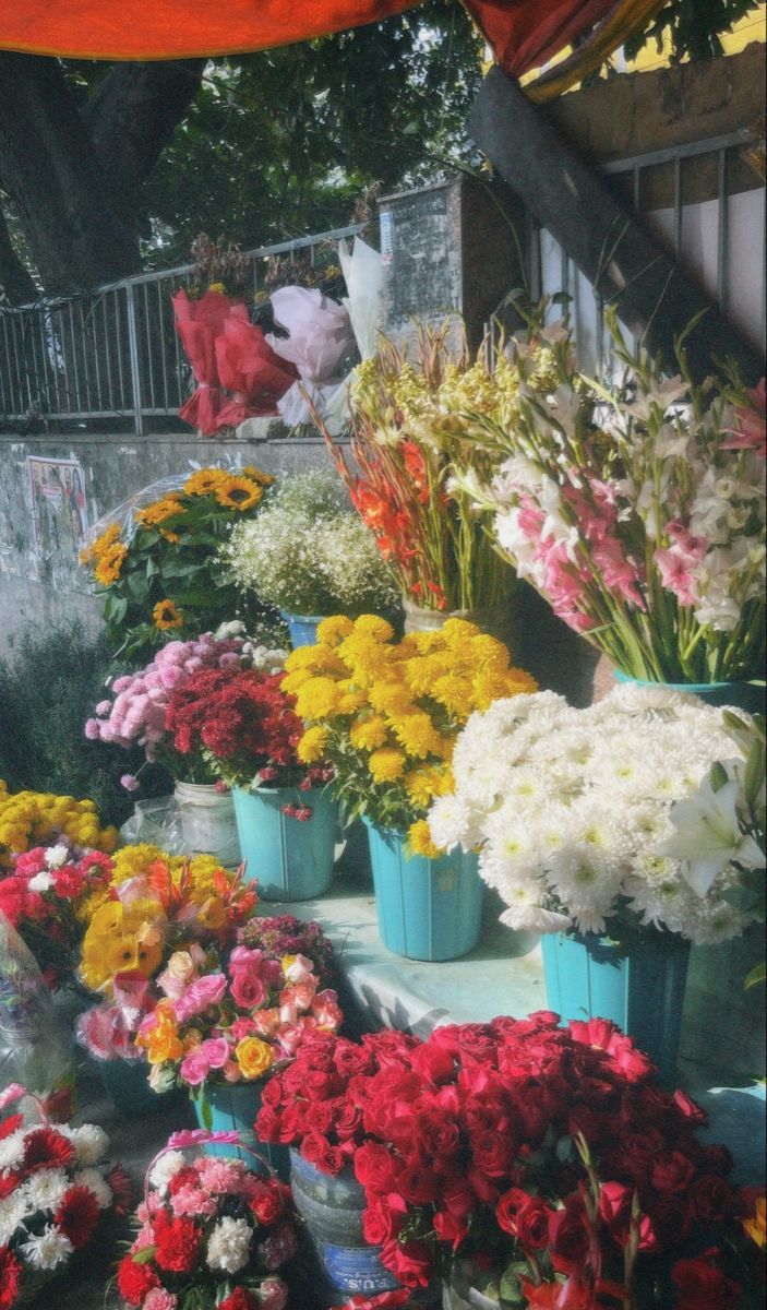 Venue detail